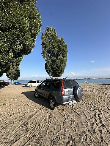 w211 e270: Honda CR-V: 2002 г., Кроссовер — 4