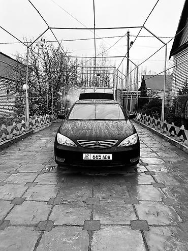 Toyota: Toyota Camry: 2005 г., 2.4 л, Автомат, Бензин, Седан — 7