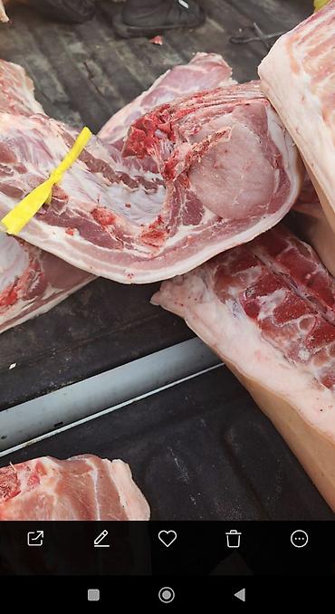 Свинина: СВИНИНА ОПТОМ В ПОЛУТУШАХ - Прямая поставка свежей продукции. - — 6