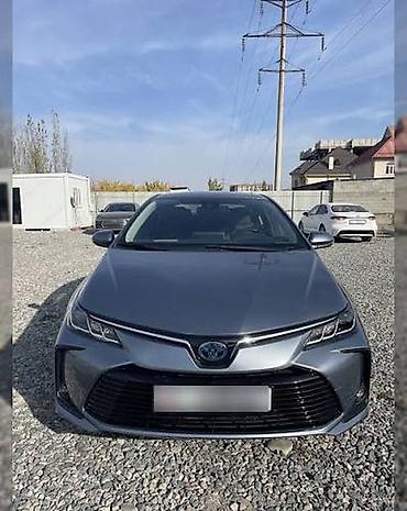 Toyota Corolla: 2020 г., 1.8 л, Вариатор, Гибрид, Седан at lalafo.kg Toyota Corolla: 2020 г., 1.8 л, Вариатор, Гибрид, Седан