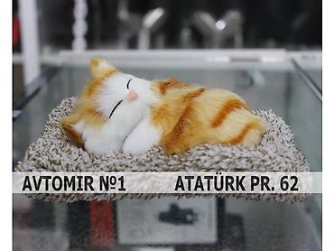 dekor panel: Dekorativ panel ortuyu pisik 🚙🚒 ünvana və bölgələrə ödənişli — 1