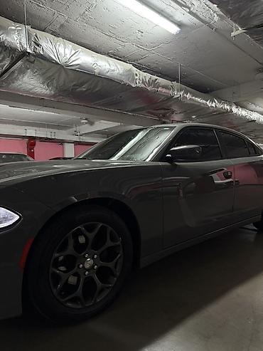 dodge купе: Dodge Challenger: 2019 г., 3.6 л, Автомат, Бензин, Седан — 3