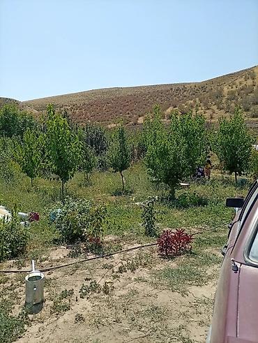 Продажа участков: 5 соток, Для сельского хозяйства, Красная книга — 16