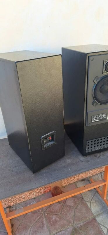 Dinamiklər və kolonkalar: Akustik sistem eksküliziv labirint qutuda sony dinamiklə və tviterlə — 3