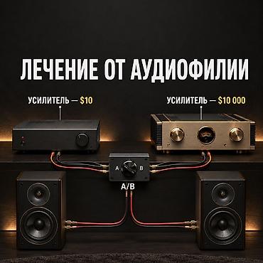 🚑Лечение от аудиофилии 🎧Переключатель источников звука (в комплекте