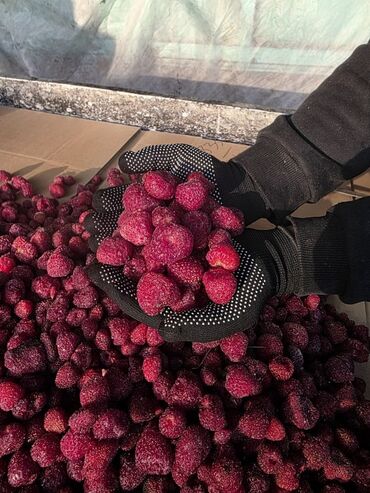 Клубника: Клубника — 10