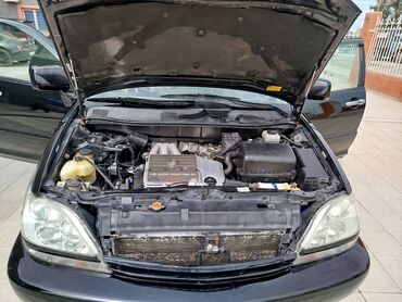 супорт гольф 3: Lexus RX: 2002 г., 3 л, Автомат, Бензин, Кроссовер