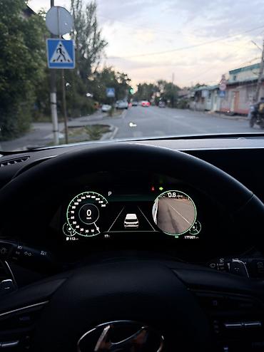 без дтп: Hyundai Palisade: 2020 г., 2.2 л, Автомат, Дизель, Кроссовер — 7