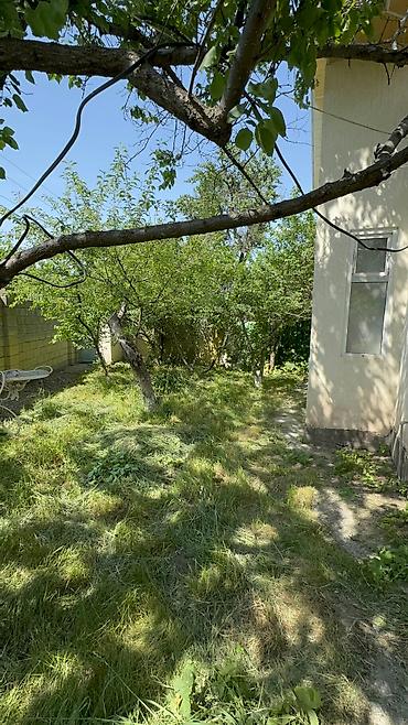 Продажа дач: Продается дача в верхней части города Кашка Суу горнолыжная база не — 7