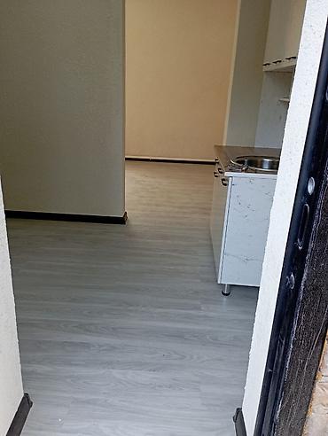 Долгосрочная аренда квартир: Студия — 12