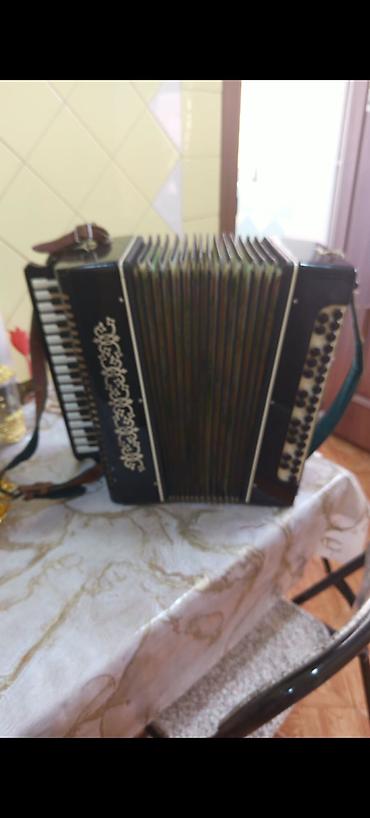 akkordeon: Akustik Akkordeon, İşlənmiş, Ünvandan götürmə — 2