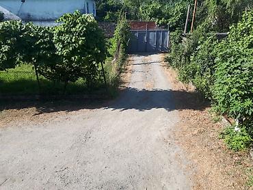 7mkr kiraye evler: 150 kv. m, 5 otaqlı, Qaz, Artezian quyusu, Telefon — 2