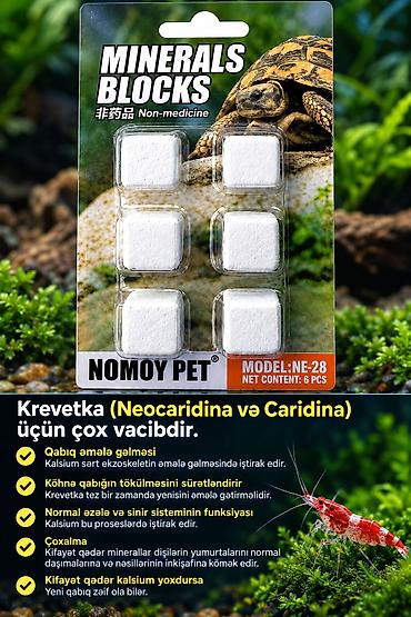 akvarium bitkiləri: Balıq və krevetka artımı üçün.MOFISH AQUA – Təbii “Qara Su” — 2