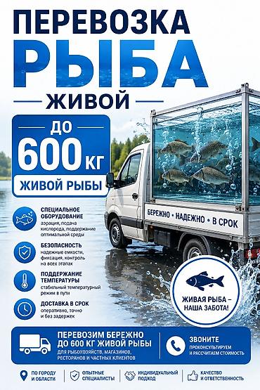 учет ры: Перевозка живой рыбы до 600 кг Услуга специализированной доставки — 1