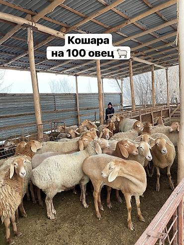 Продажа участков: 1000 соток, Для бизнеса, Красная книга — 8