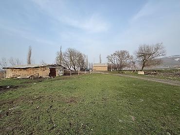 Продажа коттеджей и домов: Сарай сатылат Беловодскийдин усту жагында алма бактары бар алдында — 7