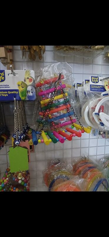 Qəfəslər: Yeni ve böyük qefesler var satişda yeni qəfəslərdi hər növdə var — 11