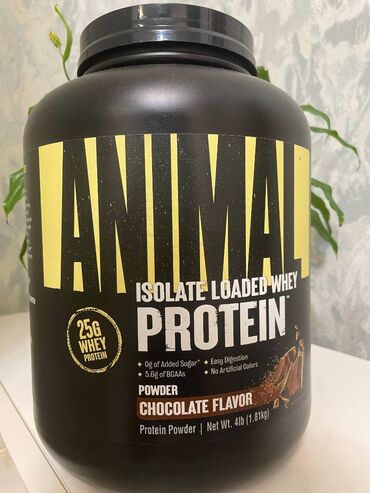 Protein: Protein -da lalafo.az — 2 Protein: Protein — 2