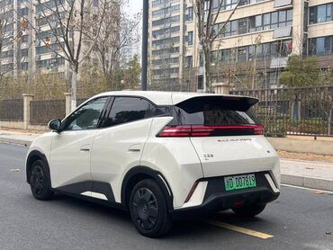 BYD: BYD Seagull: 2023 г., Электромобиль, Хэтчбэк — 8