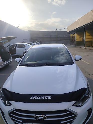 honday gets: Hyundai Avante: 2018 г., 1.6 л, Автомат, Бензин, Седан — 3