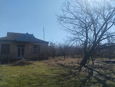 Həyət evləri və villaların satışı: 29sot - Tikinti: qalın çay daşı divarlar, möhkəm bünövrə - Plan — 4