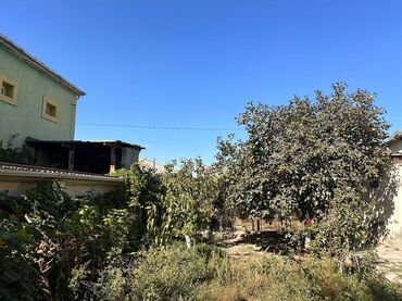 Yeni tikili: Saray, 6 otaqlı, Yeni tikili, 240 kv. m -da lalafo.az — 17 Yeni tikili: Saray, 6 otaqlı, Yeni tikili, 240 kv. m — 17