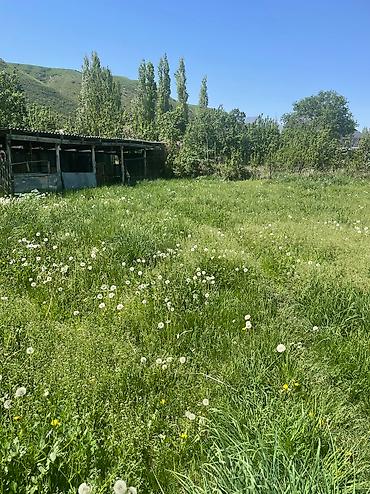 Продажа коттеджей и домов: Уй сатылат Бербулак айылы жаны фундаменти мененэки комната — 19