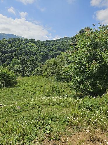 dağ: 25 sot, Tikinti — 1