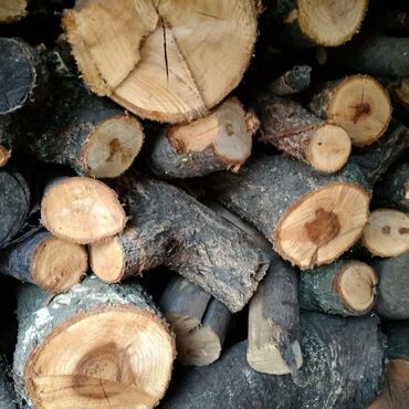 услуга спилить дерево: Продам дрова фруктовых деревьев