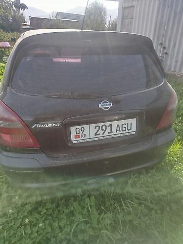 водный банан: Nissan Almera Tino: 2002 г., 2.2 л, Хэтчбэк — 4