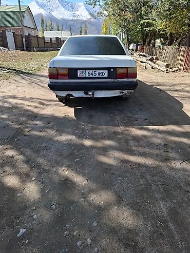 Audi: Audi 100: 1988 г., Седан — 3