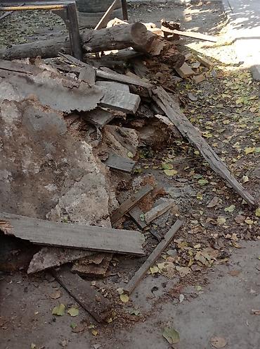очиститель бассейна: Уборка территории, Уборка двора и сада — 1