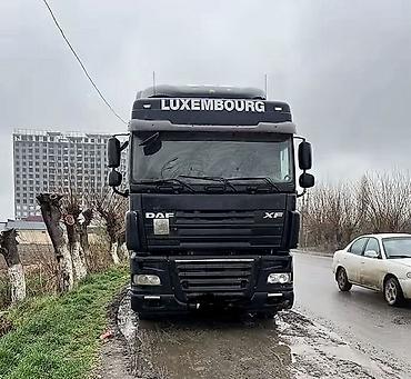 Тягачи: Тягач, DAF, 2008 г., Холодильник, рефрижератор — 2