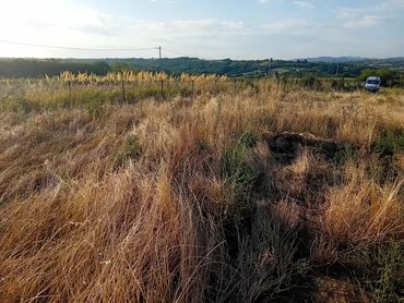 Građevinarstvo i rekonstrukcija: U ponudi su profesionalne hortikulturne usluge koje uključuju košenje — 8
