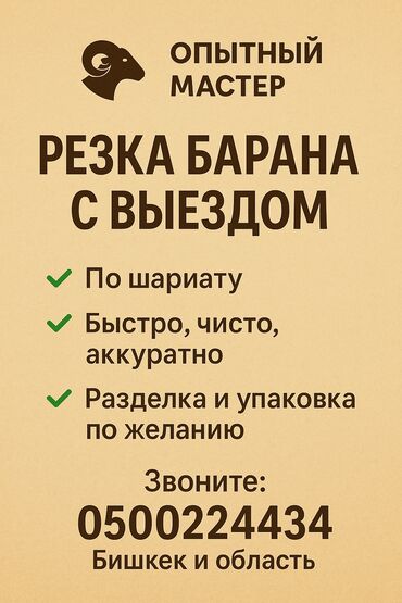 сколько стоит вызвать мишку на день рождения: ✅ "Профессиональная резка барана — быстро, чисто, по шариату!" ✅