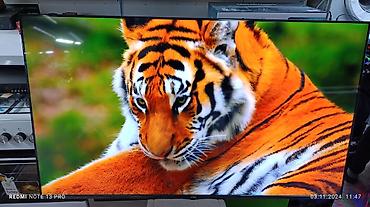 Телевизоры: Телевизор YASIN 65" 65Q90M (164 см) - Платформа: Google TV с — 10