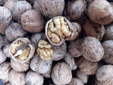 Сухофрукты, орехи, снеки: Прод.орехи, урожай этого года с 1 дерева, средняя жестк.скорлупы, цена