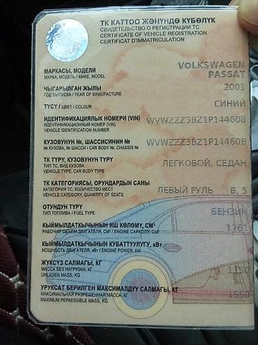 Volkswagen Passat: 2001 г., 1.8 л, Механика, Бензин, Седан — 10