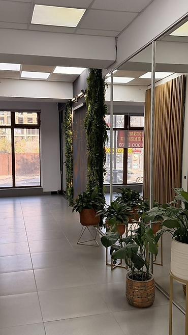 готовые офисы: Сдаю Офис целиком: 30 м², В бизнес центре, С ремонтом, Первая линия — 4