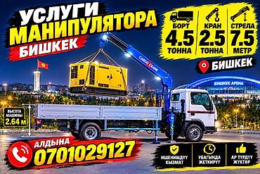 Манипулятор, Mitsubishi
