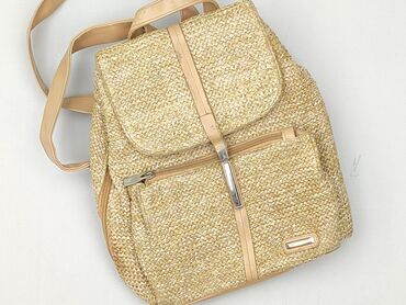 Backpack, condition - Very good