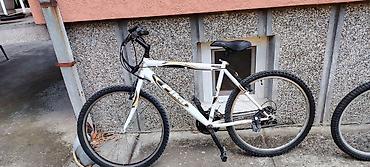 migavci za bicikl: Planinski/trekking bicikl Pika – 26” - Veličina točkova: 26” sa — 1