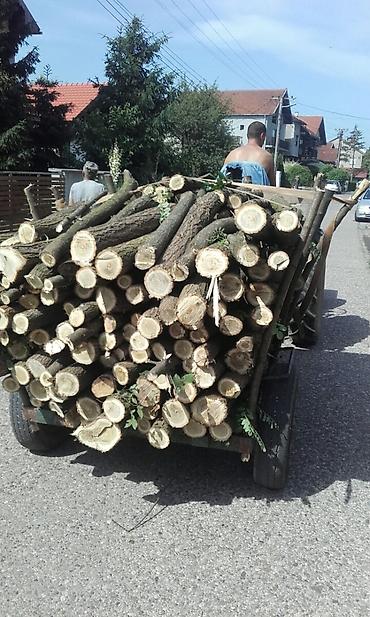 putnički kombi 8 1: Sumska prikolica na prodaju!Ojacana osovina stavljene gume 17ke niska — 5