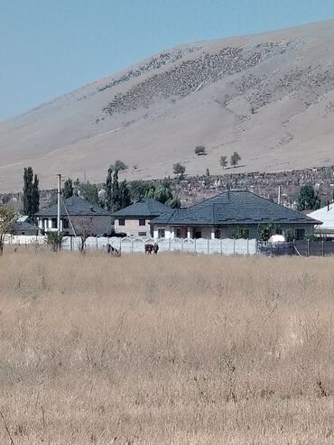 село раздольное бишкек: 30 соток, Договор купли-продажи