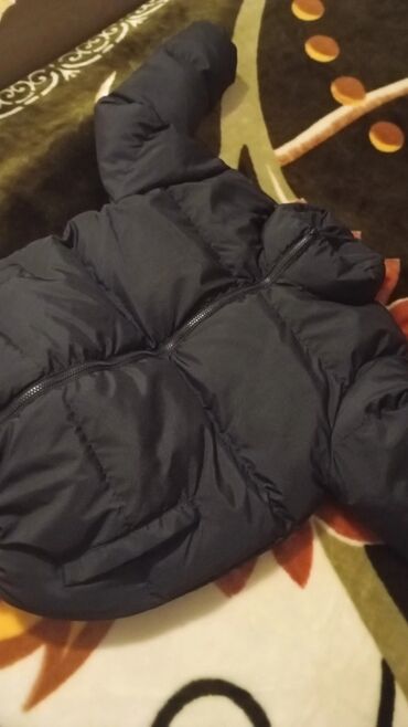 Kurtkalar: Kurtka, Bolonka, Qış, Lacoste, S — 7