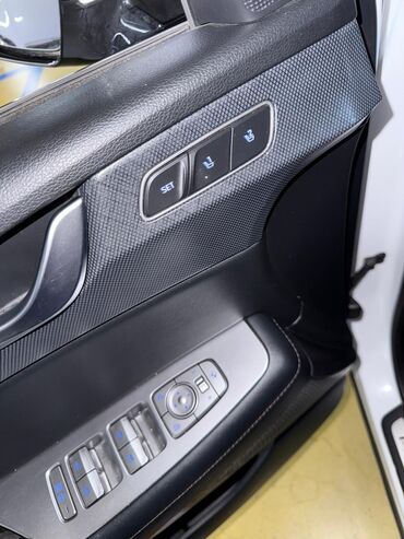 Hyundai: Hyundai Palisade: 2019 г., 2.2 л, Автомат, Дизель, Кроссовер — 16