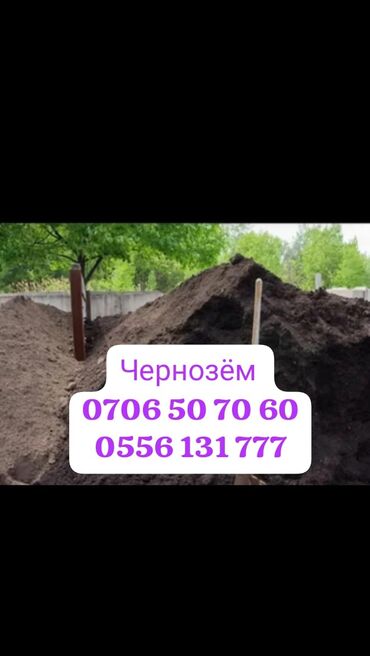 бак 200: Тонна менен, Акысыз жеткирүү, Зил портер