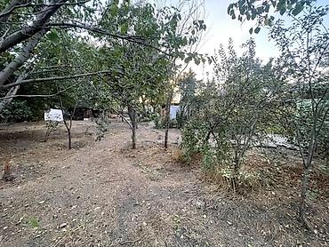 Продажа домов: 2 комнаты, 38 м², 8 соток, Бишкек, Карагачевая роща Агентство недвижимости — 10