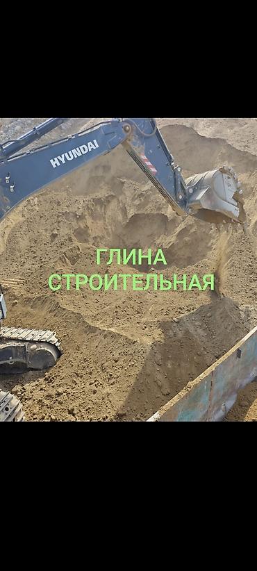 цветы фикусы: Глина, Горная, Насыпью, Зил, Камаз — 1