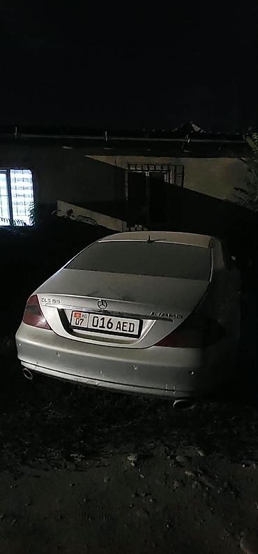 фонари освещения: Mercedes-Benz CLS-Class: 2004 г., Купе — 6